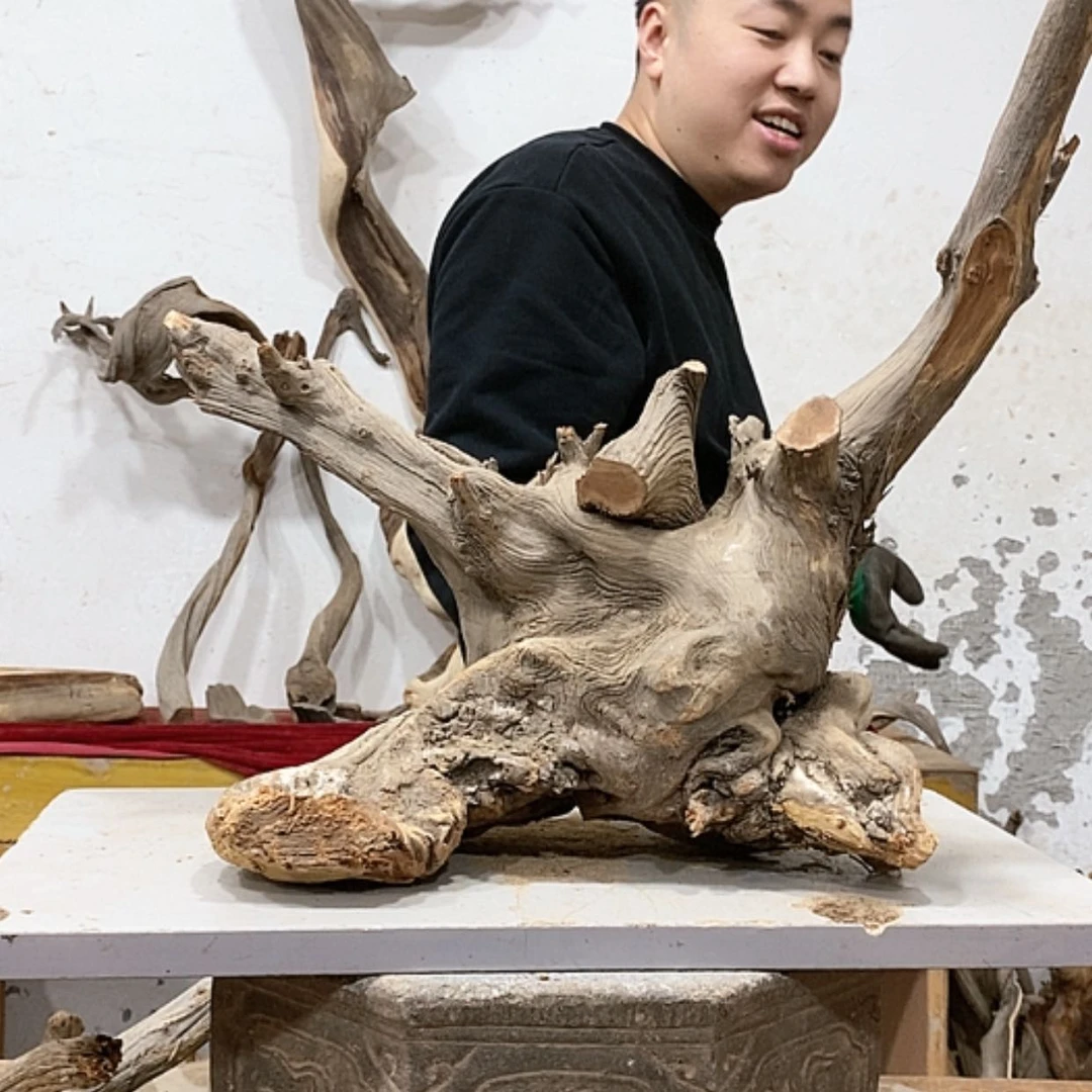 【闪购商品】柏木秋***叶我们都是好孩子