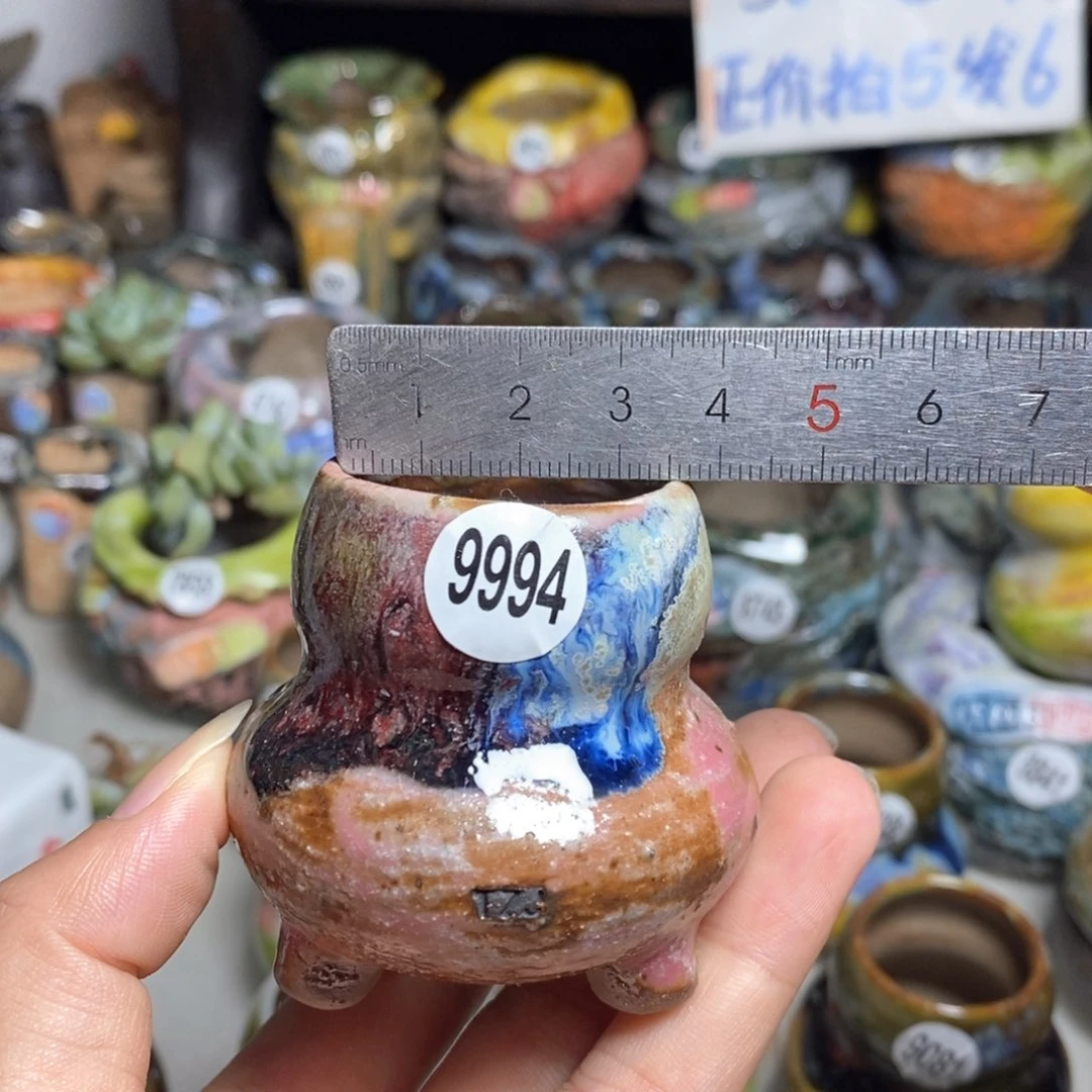 拍5送一个小礼物