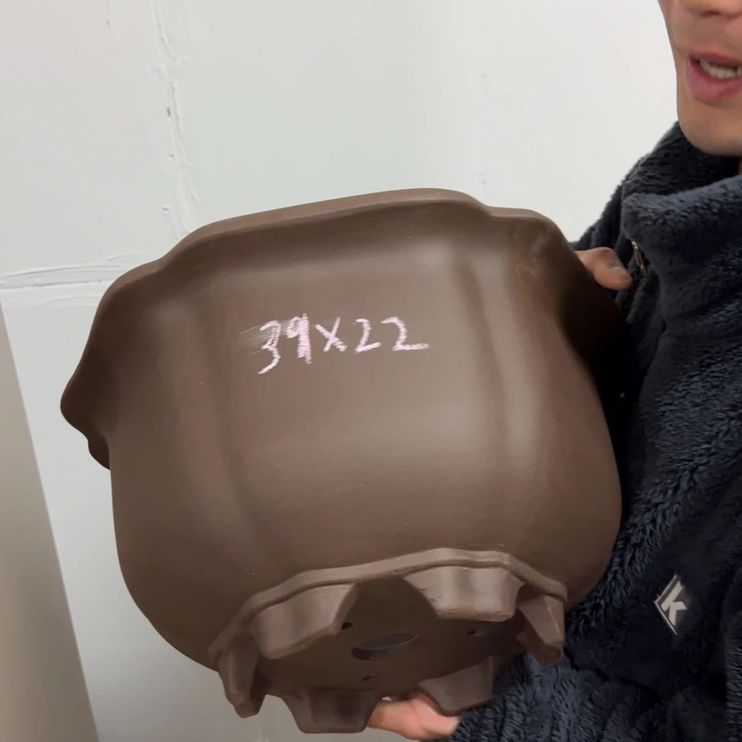 紫砂花盆呜呜呜呜