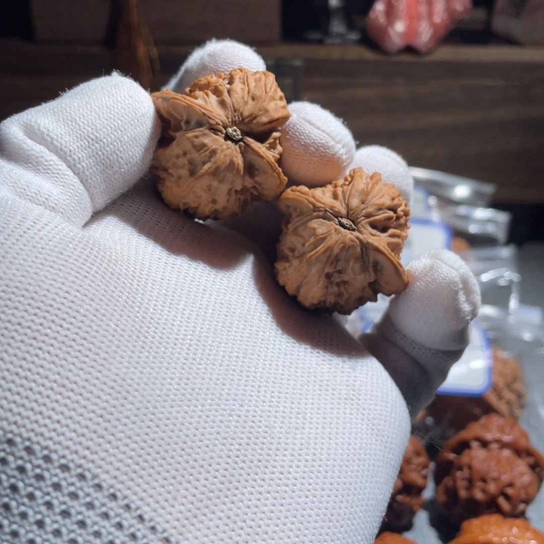 想**字35鸭蛋鸡心！！！！！！！！！！！！