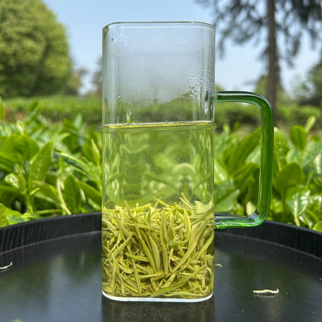 2025年新茶四川毛尖明前小芽清鲜爽口