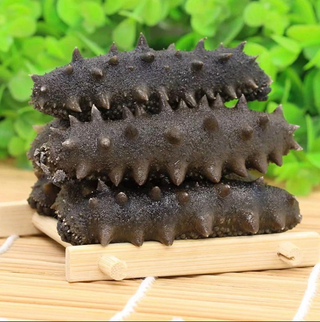 半干海参顶火 拉缸盐74只左右750g（湿的）顺丰发货