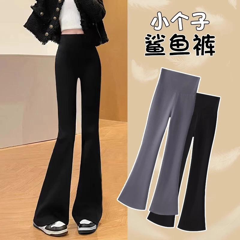 小个子微喇鲨鱼裤女外穿2025新款春秋冬加绒高腰瑜伽打底喇叭裤子