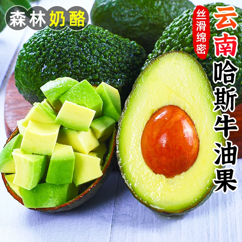 【催熟食用】云南哈斯牛油果2-10枚鳄梨新鲜水果即食正当季熟透酪梨
