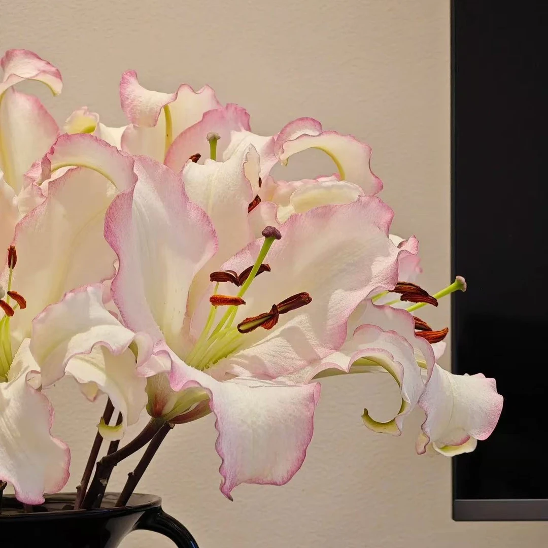 【唯一】东北鲜花基地直发货顺丰包邮鲜花