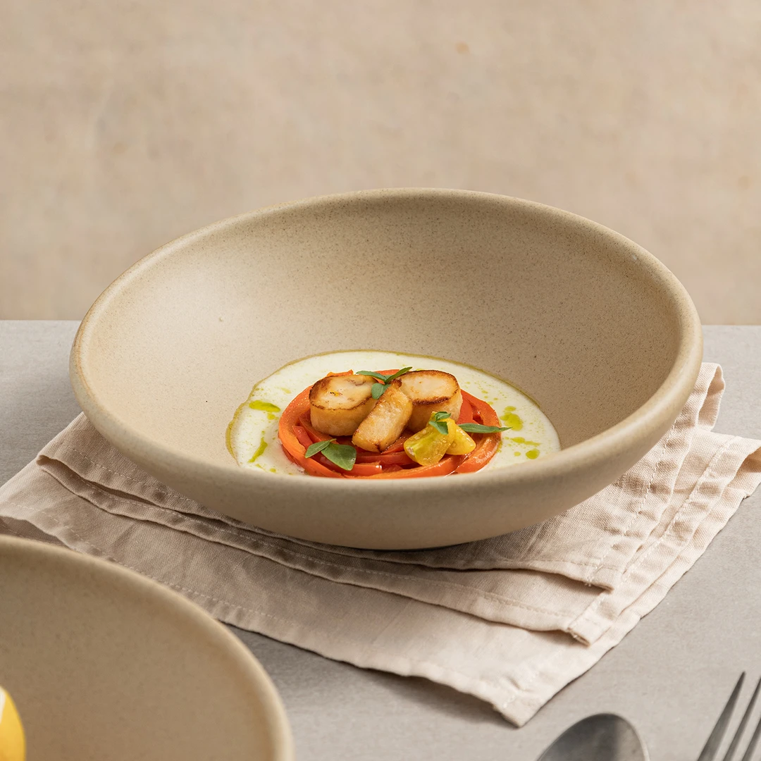 日式西餐餐盘菜盘高级感早餐盘深盘意面沙拉汤盘酒店餐具粗陶盘子