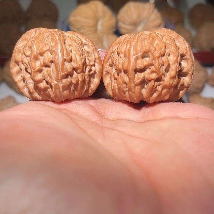 木42磨盘狮子头。
