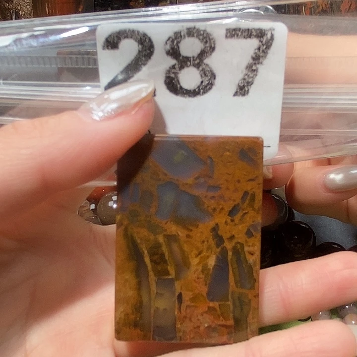 硅化玉未镶嵌天然北票树化玉吊坠