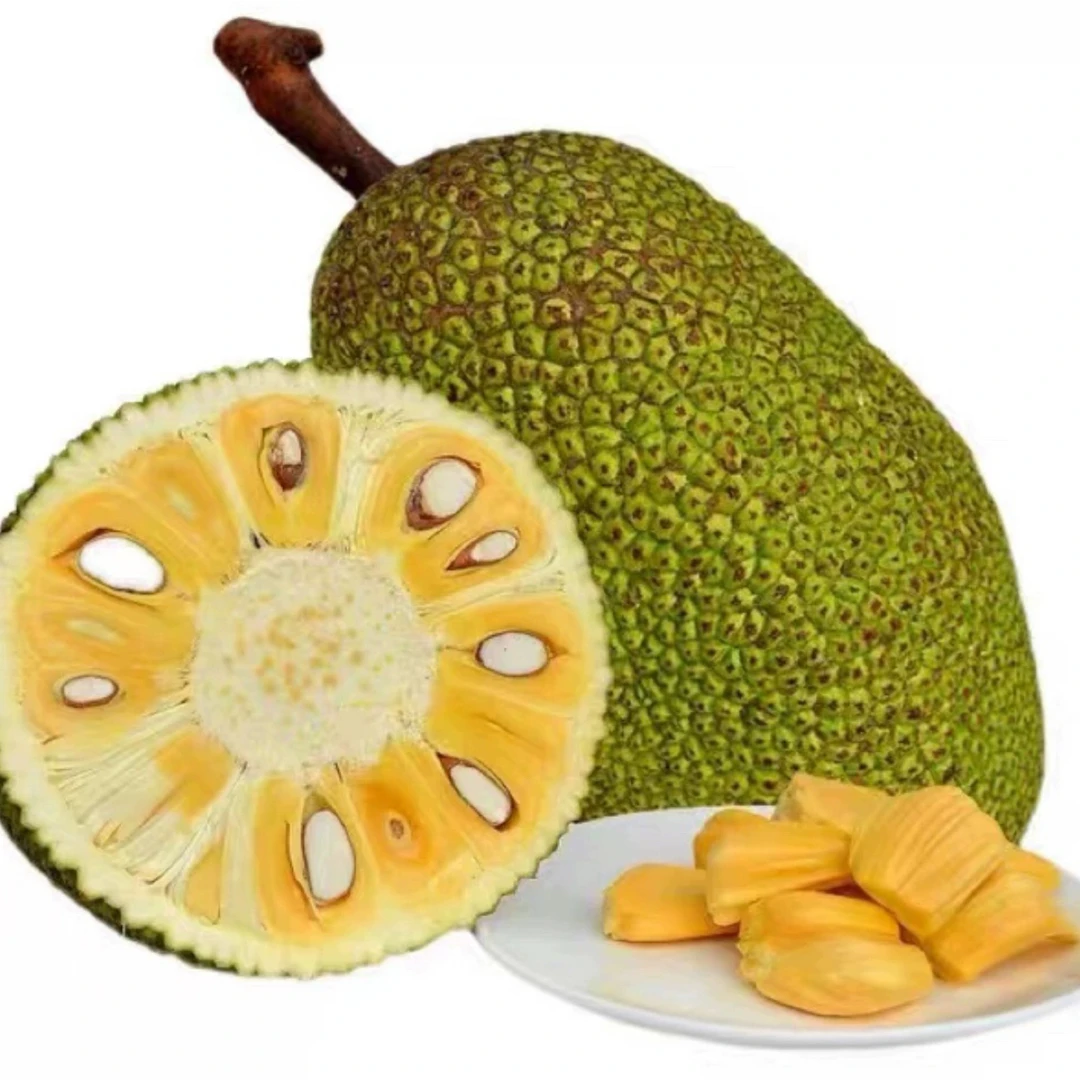 （沈阳发货）菠萝蜜 越南 6-14斤京东包邮热带水果越南