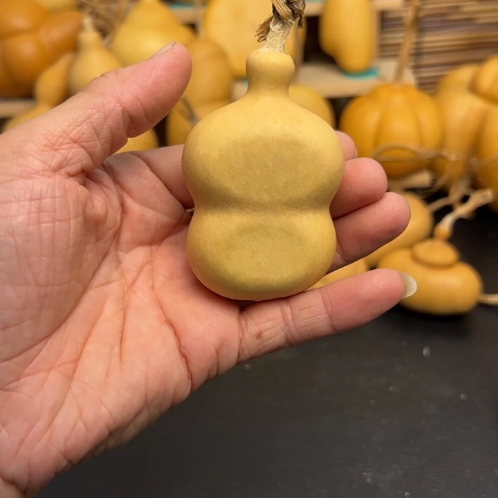 喵*65666666998899999