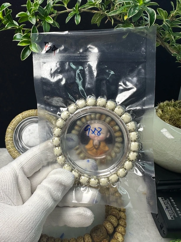 B4灰背河豚星月菩提