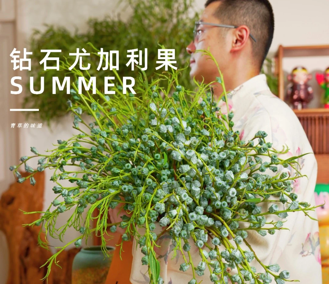 【2025钻石尤加利新果】夏天花束鲜花可干花客厅尤加利果