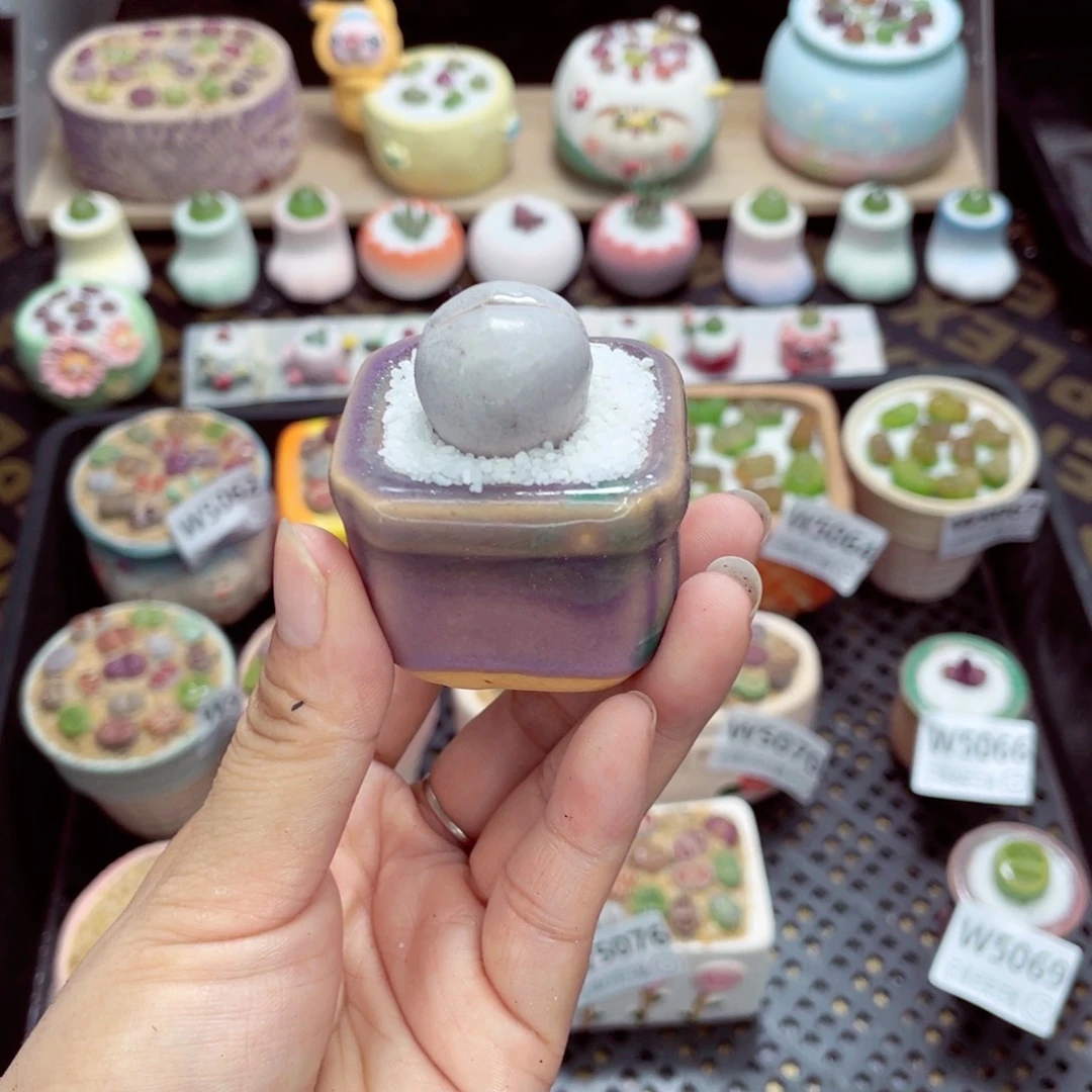 w5077 带盆土发货一物一拍