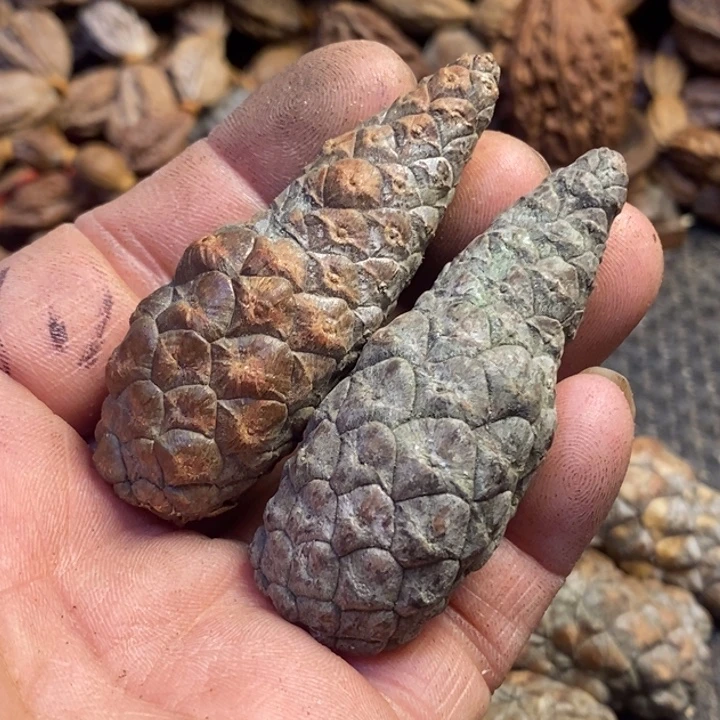 文玩核桃吊坠东北特产314