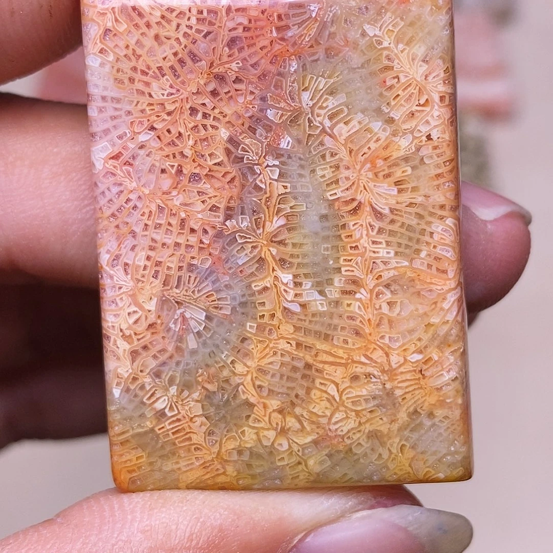 鱼***鱼硅化玉合金珊瑚玉