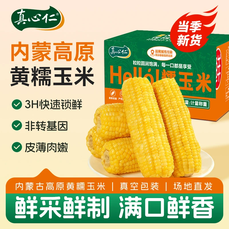 【内蒙古黄糯】黄糯25年新沙地早餐香糯粗粮玉米甜糯玉米