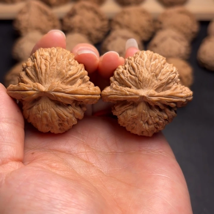 开***乐把件文玩核桃41白狮子