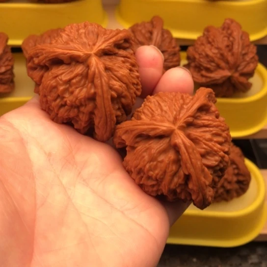 伍****核桃核桃核桃核桃核桃