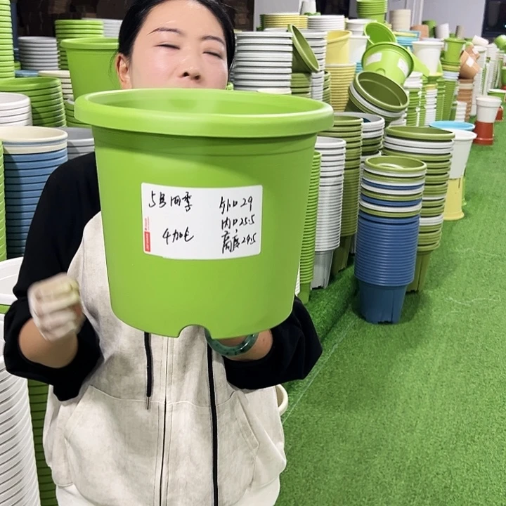 特价5号四季口29高24.5白色5只无托
