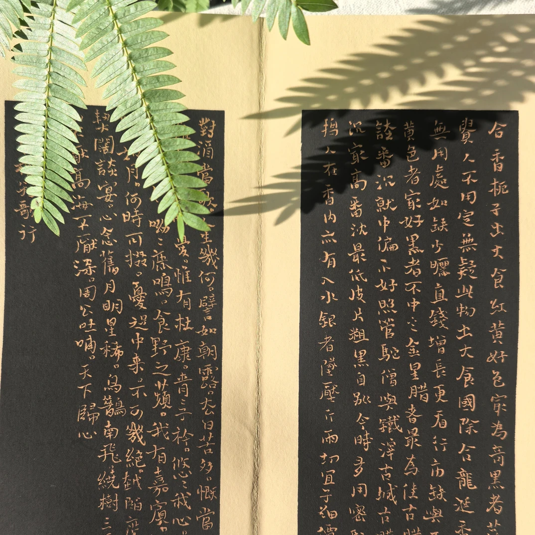 黑色 写经白墨金墨小楷书法宣纸册页