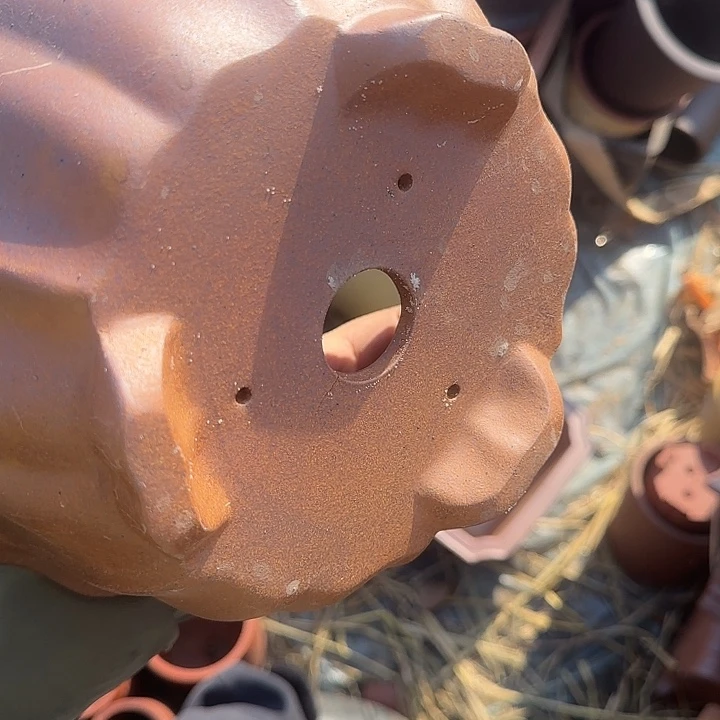 这几句真的好好啊哈哈我要疯啊这句啊笑到肚子不想睡笑不