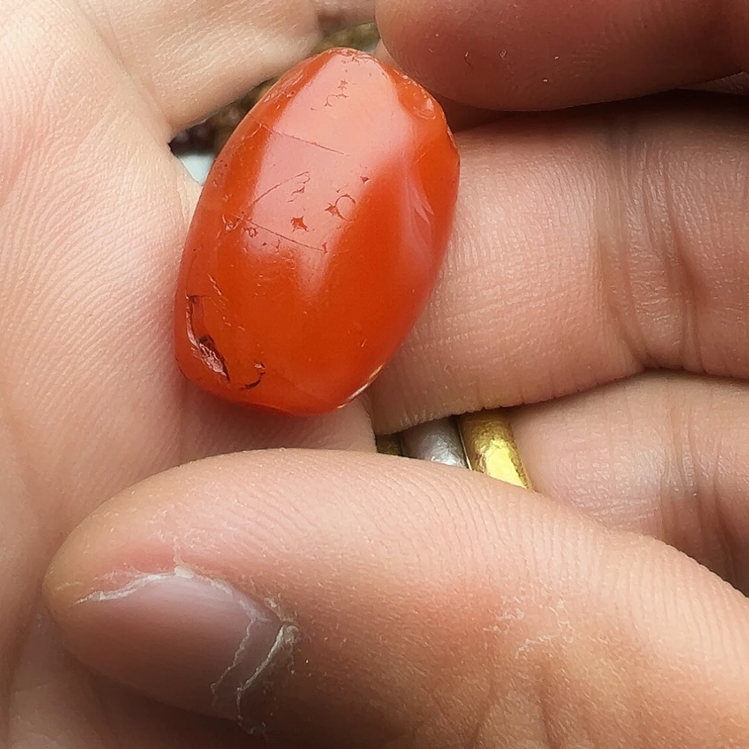 龙脊菩提吊坠乐子