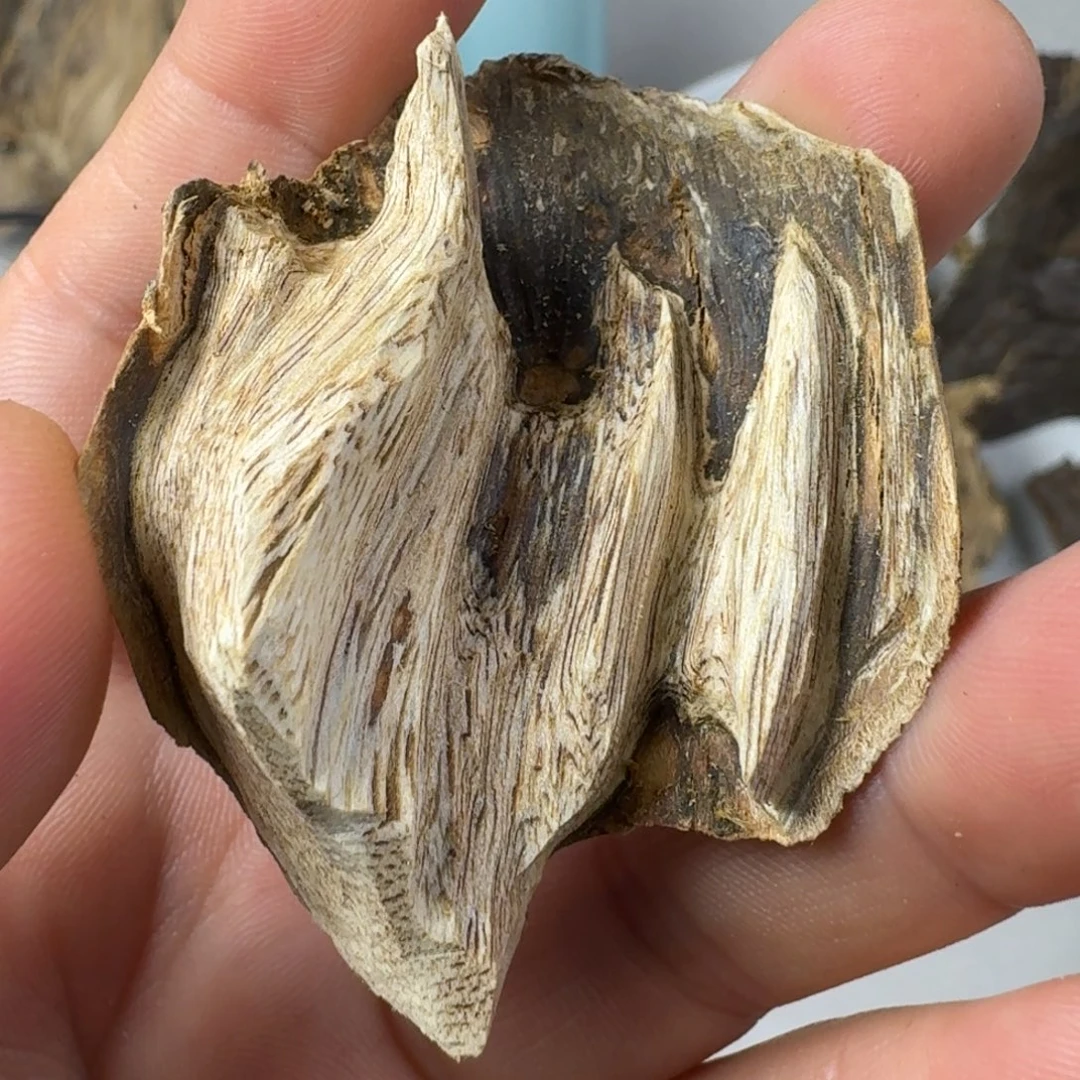 沉香沉香碎屑高州虎斑棋5.4克