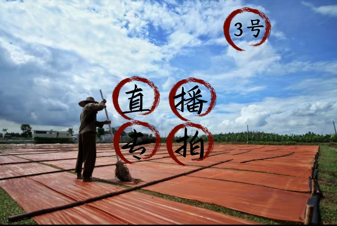 3号链接真丝手工艺制作指定米数香云纱国风旗袍连衣裙