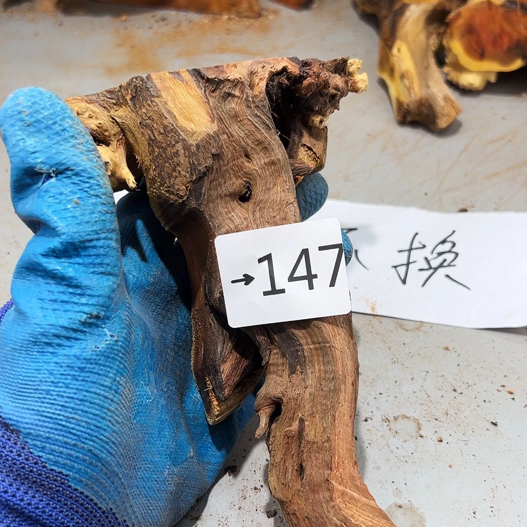 香榧木用****9火琉璃……火琉璃