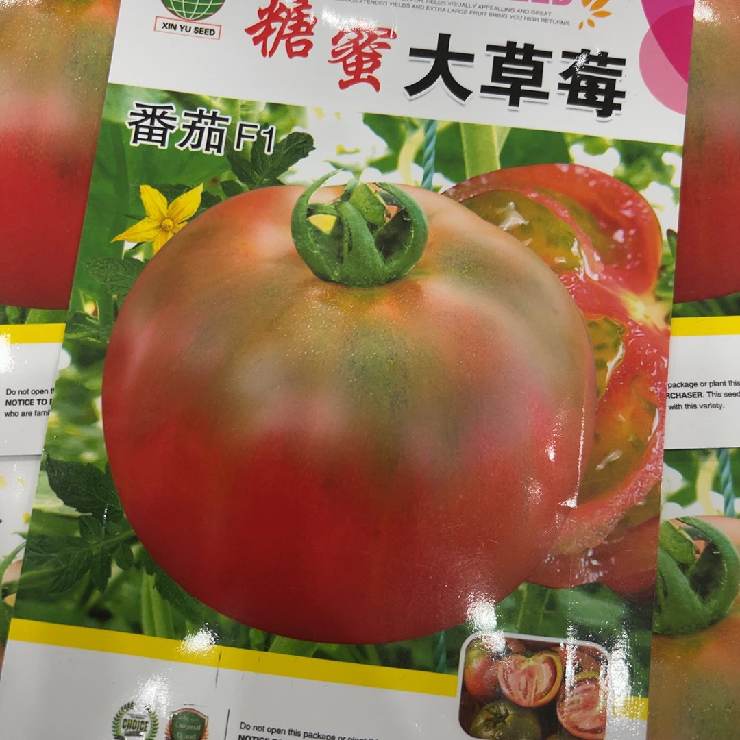 F1糖蜜大草莓番茄种子100粒