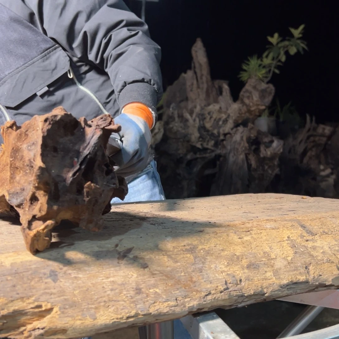 阴沉木钓****王金丝楠根料摆件等