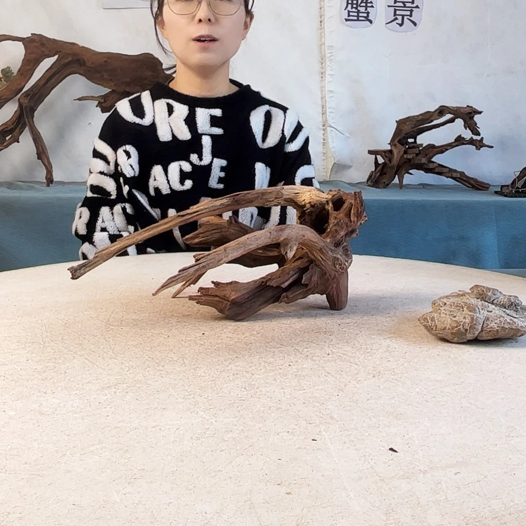 沉木造景爬宠造景