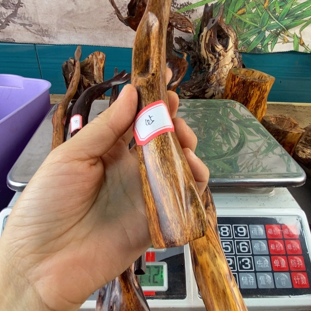 大***怪香榧木我们都在努力着