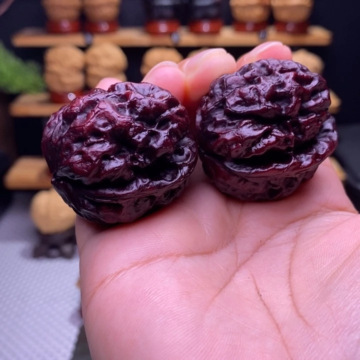 木质类云铁地焖龙甲42号