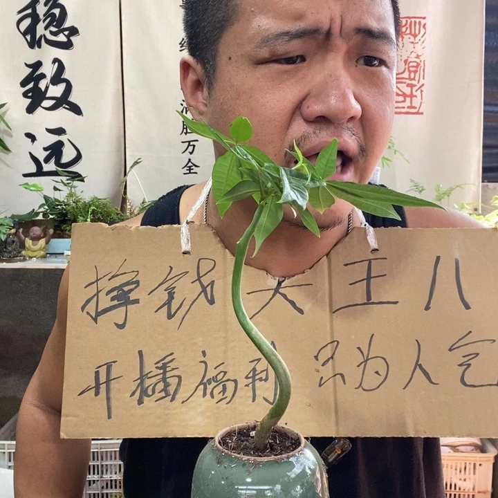 无花朵退款拉黑拉黑11