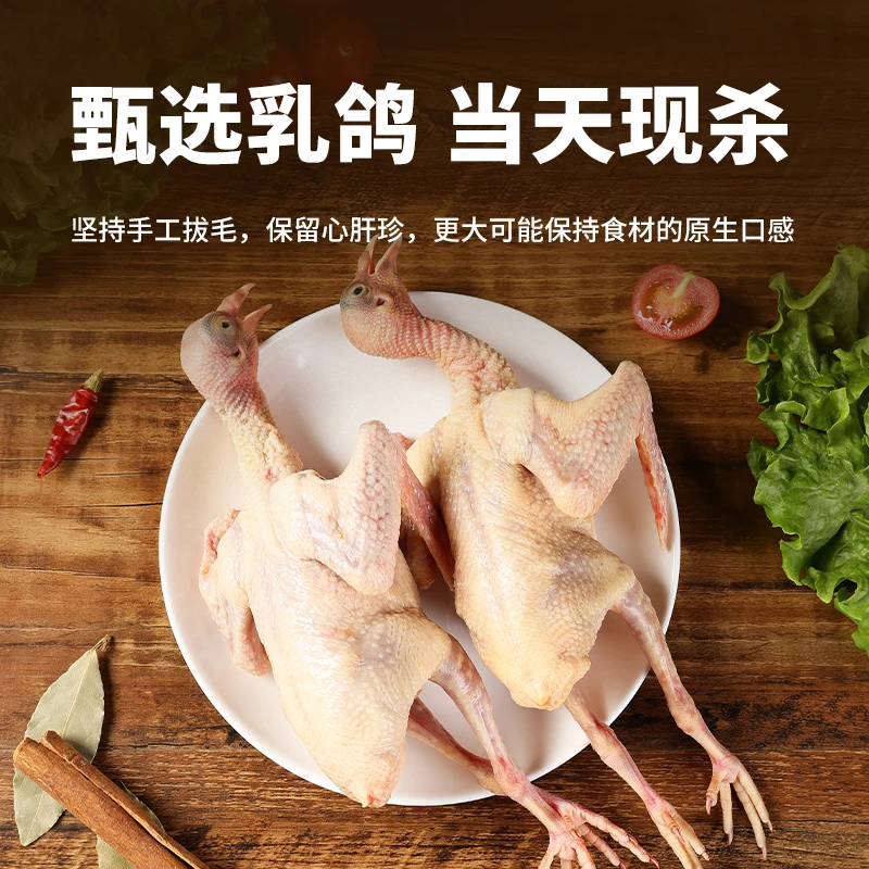 山东农家散养土鸽,杂粮喂养营养新鲜土鸽