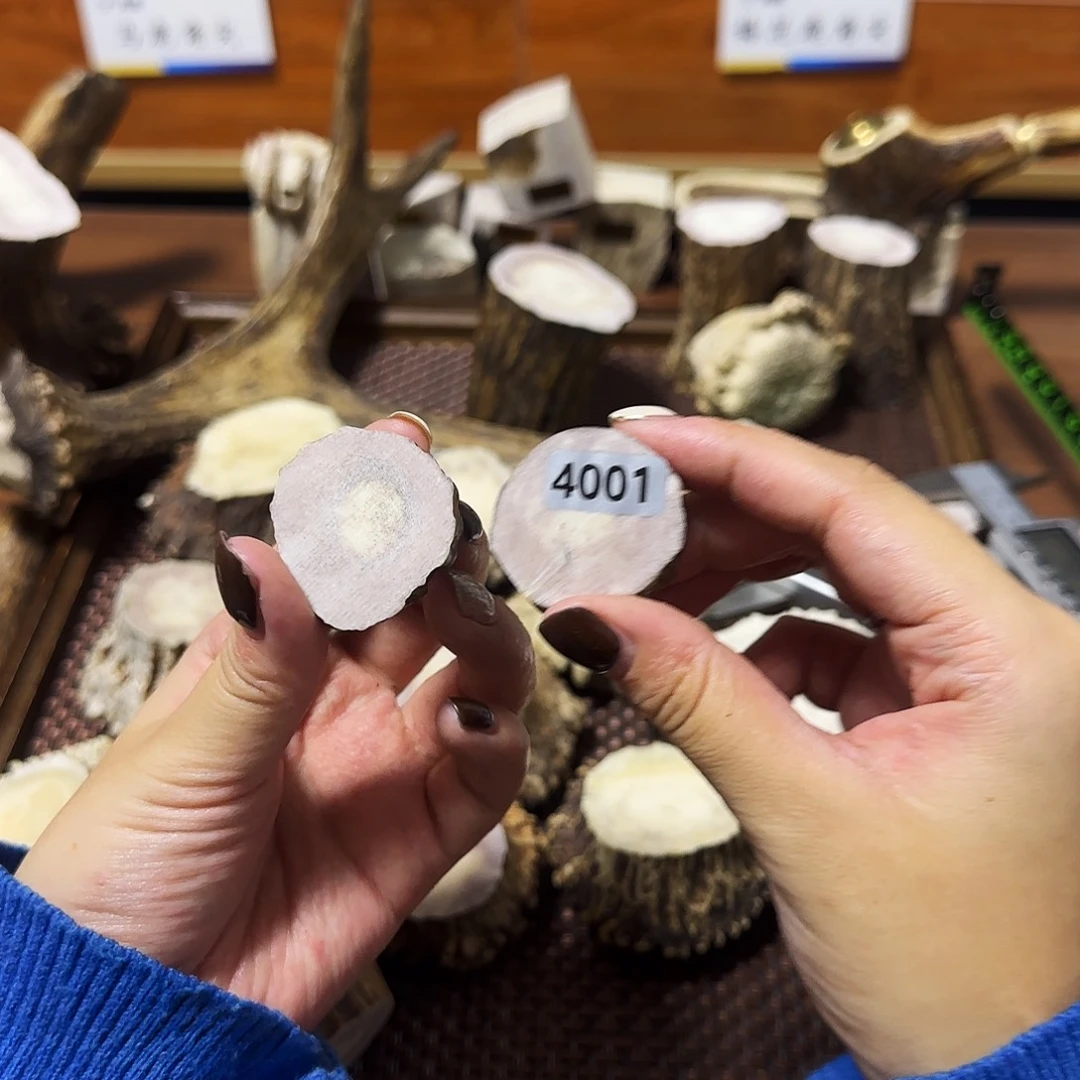 鹿骨手串/手链4001片