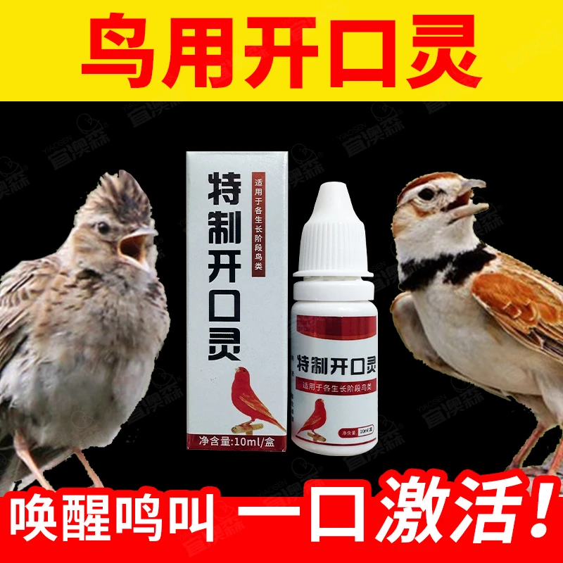 画眉鸟开口灵上口灵麻料蜡嘴百灵金翅虎头凤颠頦黄雀贝子鸣叫开口
