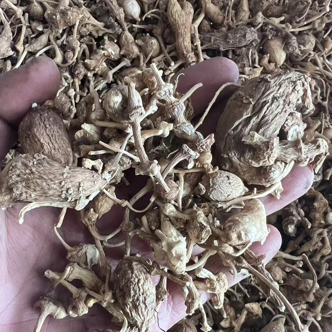 西藏直发三七自然晾晒无硫熏特产高海拔山货100g
