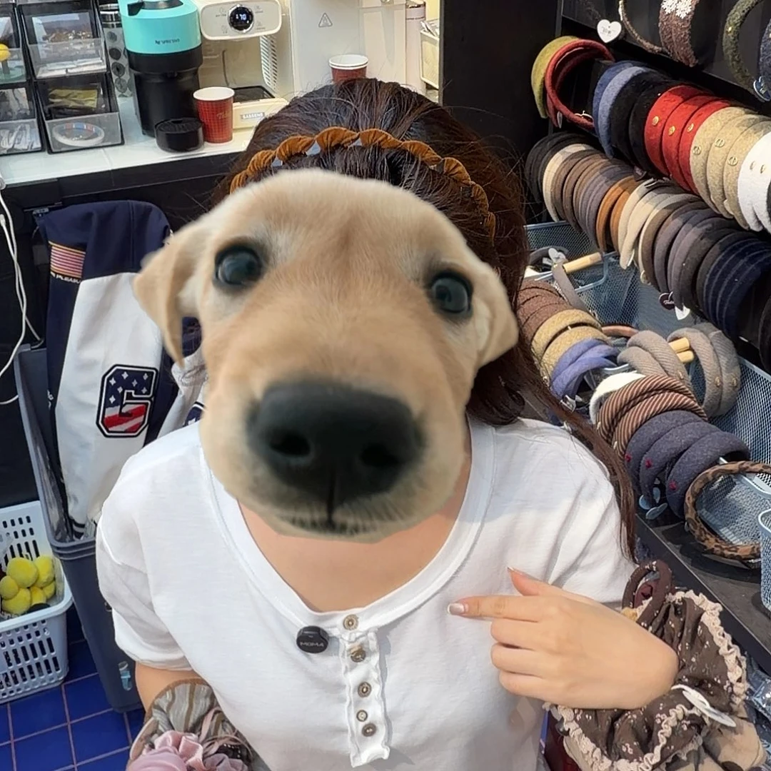 非金属好看的发箍300