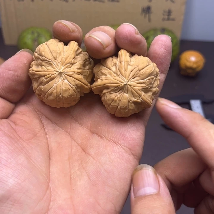 H***某菩提籽类金蝉尊三棱 有黄尖