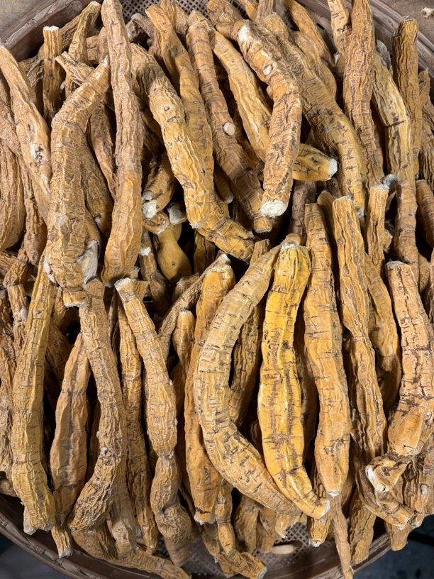 农村土特产晒干牛大力圆中牛煲汤煮水泡酒