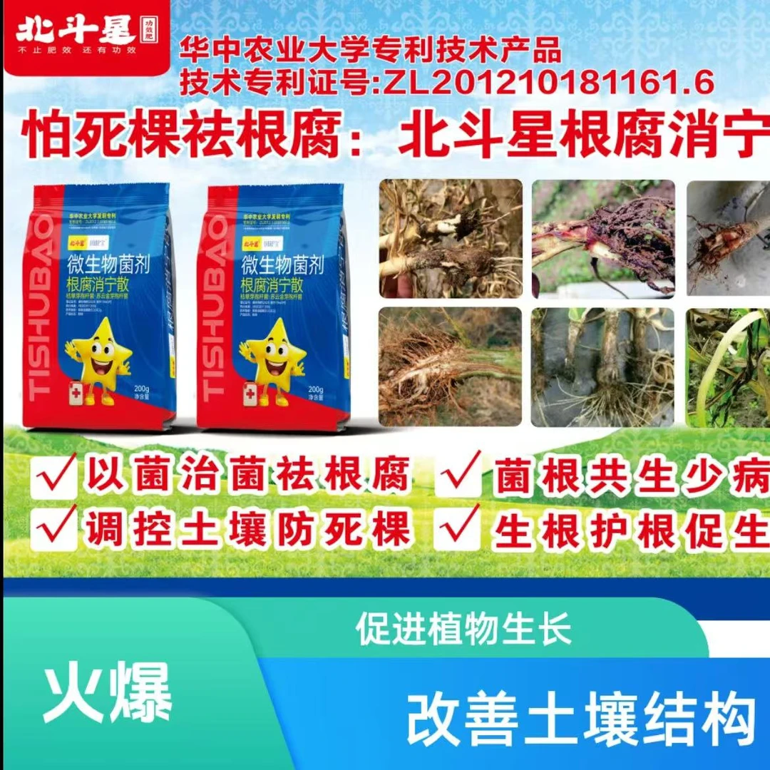 【北斗星根腐消宁散】200g一亩地怕死棵祛根腐