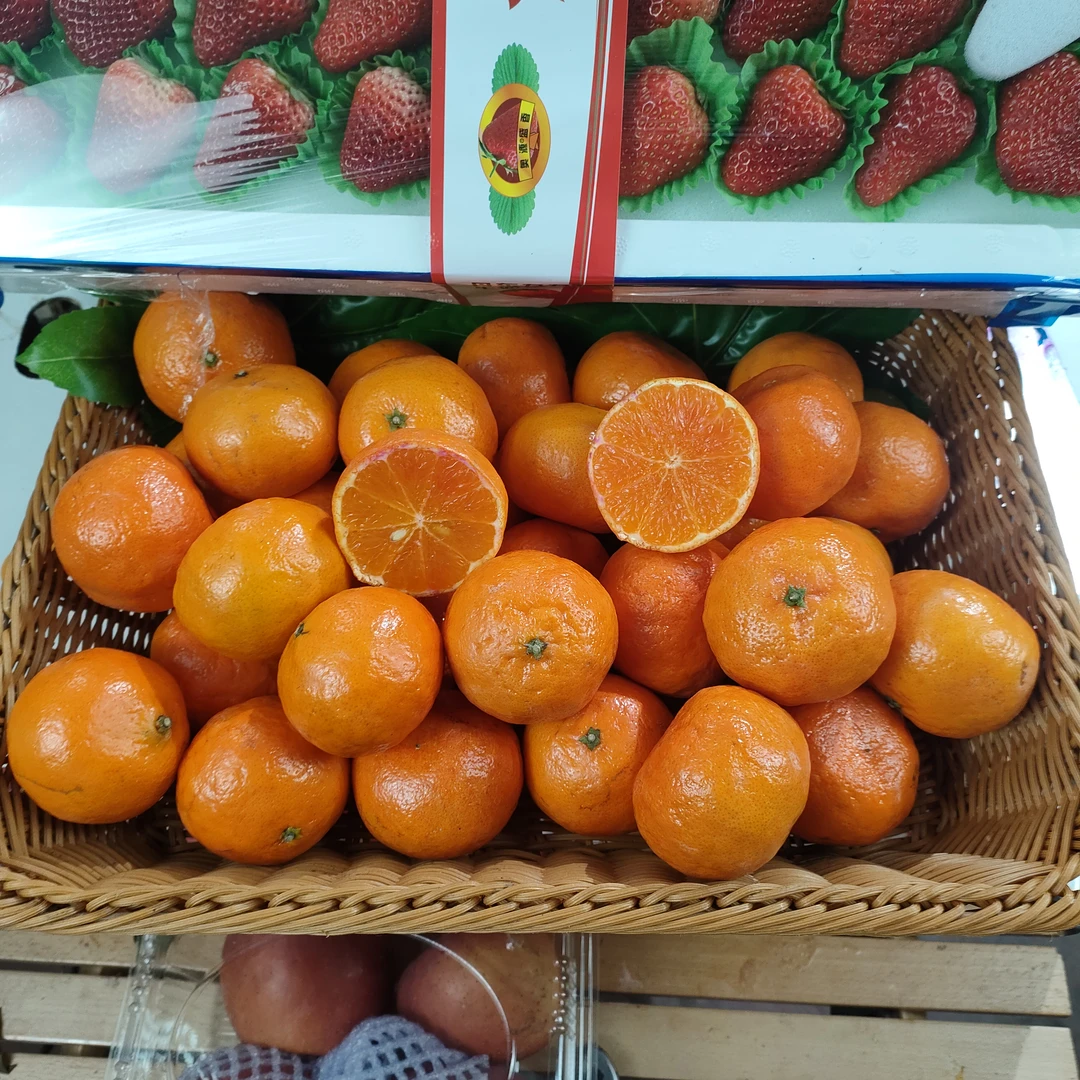 明日见三斤中大果