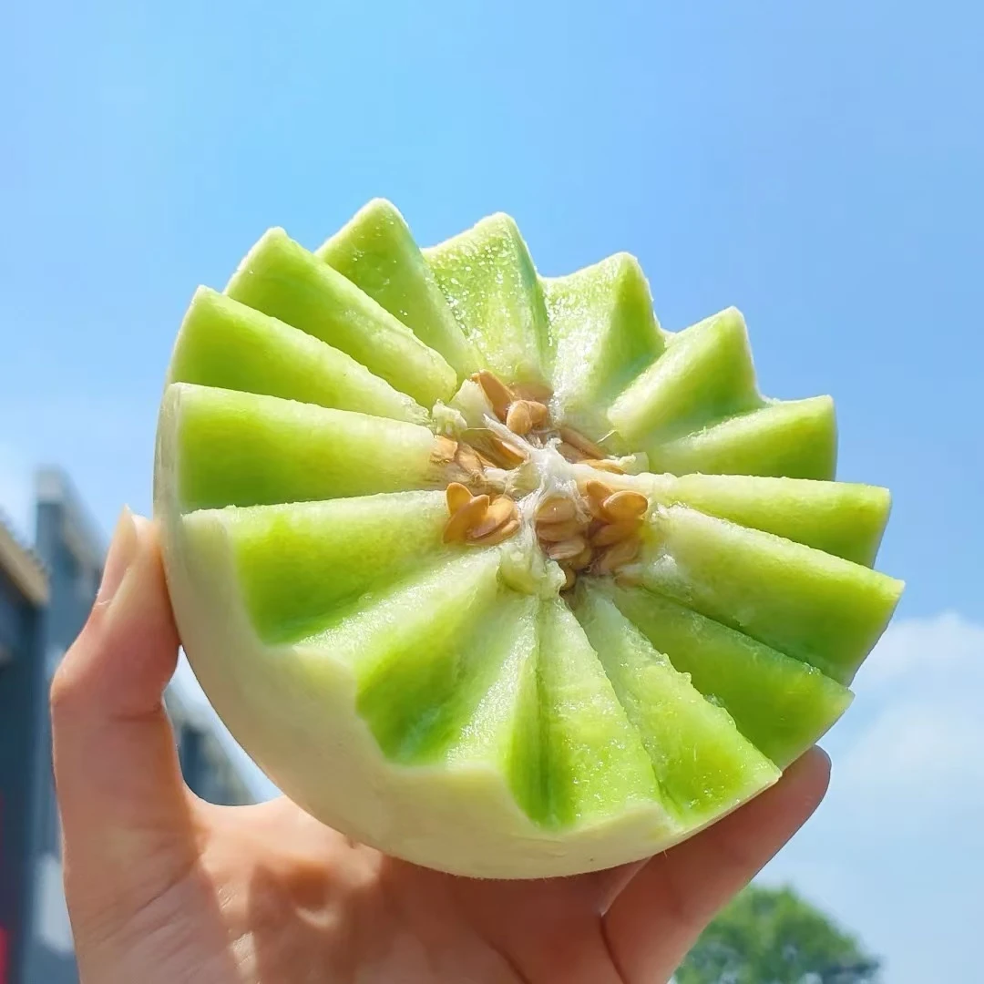 【周谷堆水果】玉菇冰淇淋甜瓜净重4.5斤软糯香甜当季新鲜现摘（18）