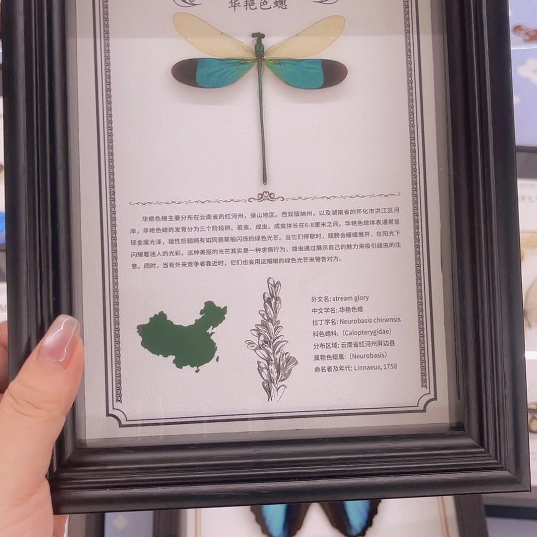 萱*菀黑框华艳色聰成品