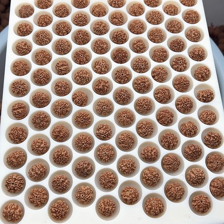 金刚菩提手串5星梅花双龙16左右100颗