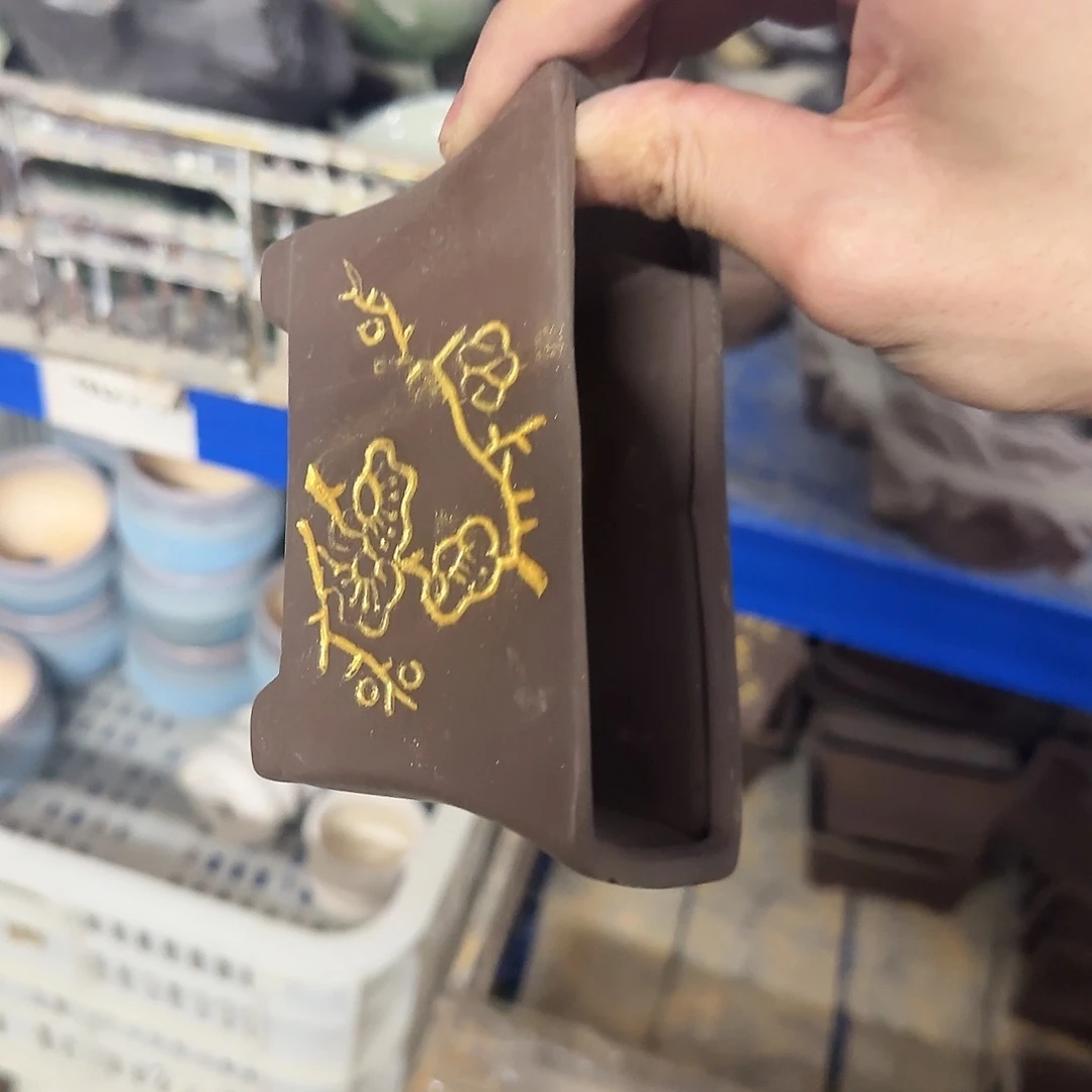 福利局绿植多肉盆［凑9元包邮24小时发］4070