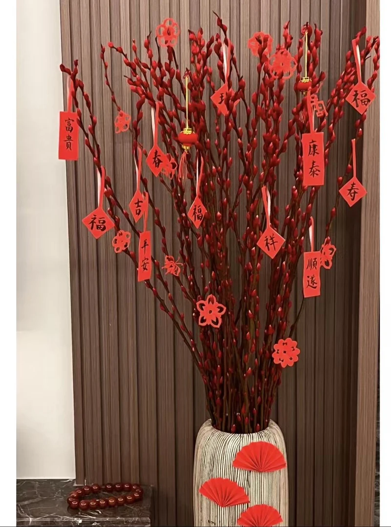 银柳 真花鲜枝 红色年宵花卉  银柳入户 黄金铺路