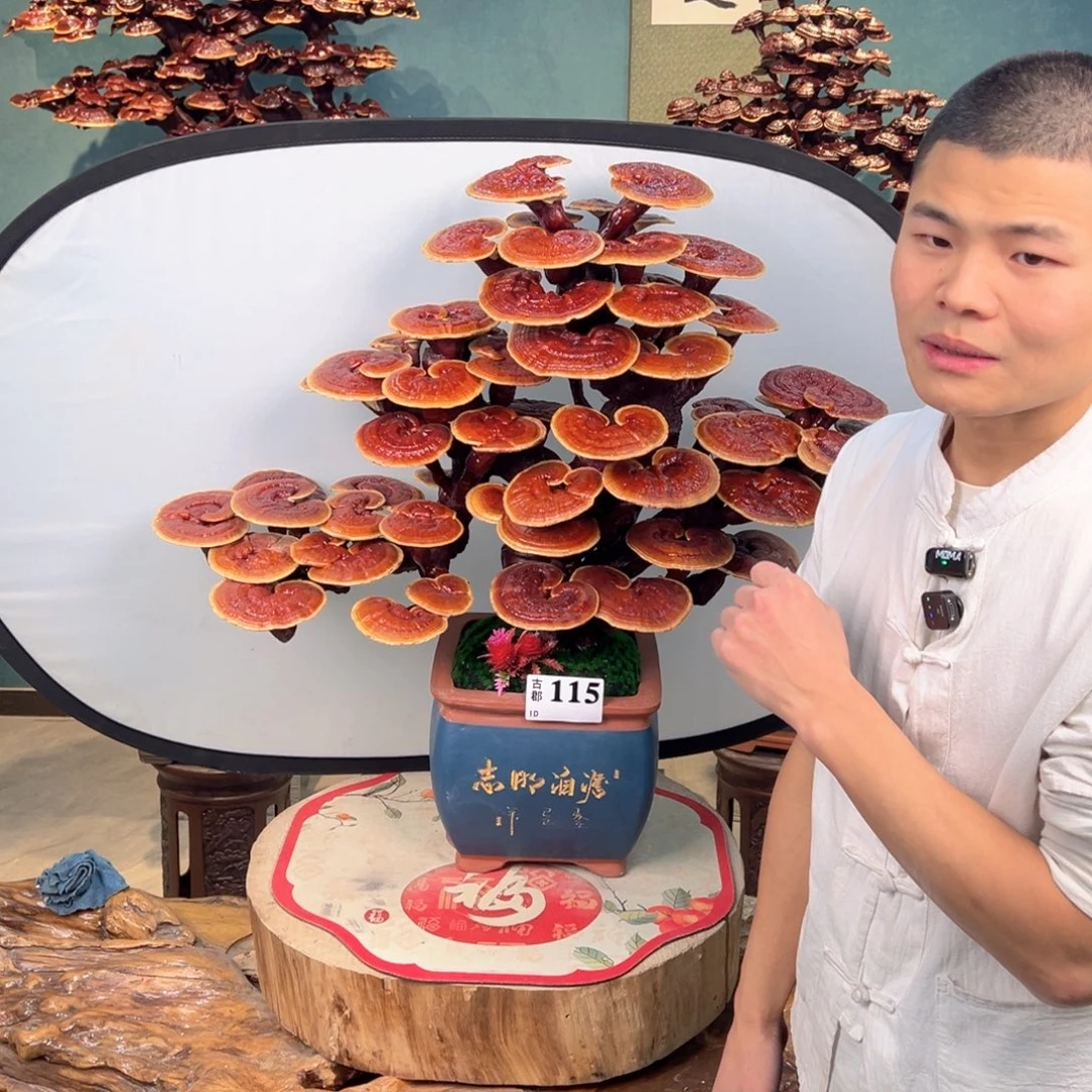 无花朵888888888988